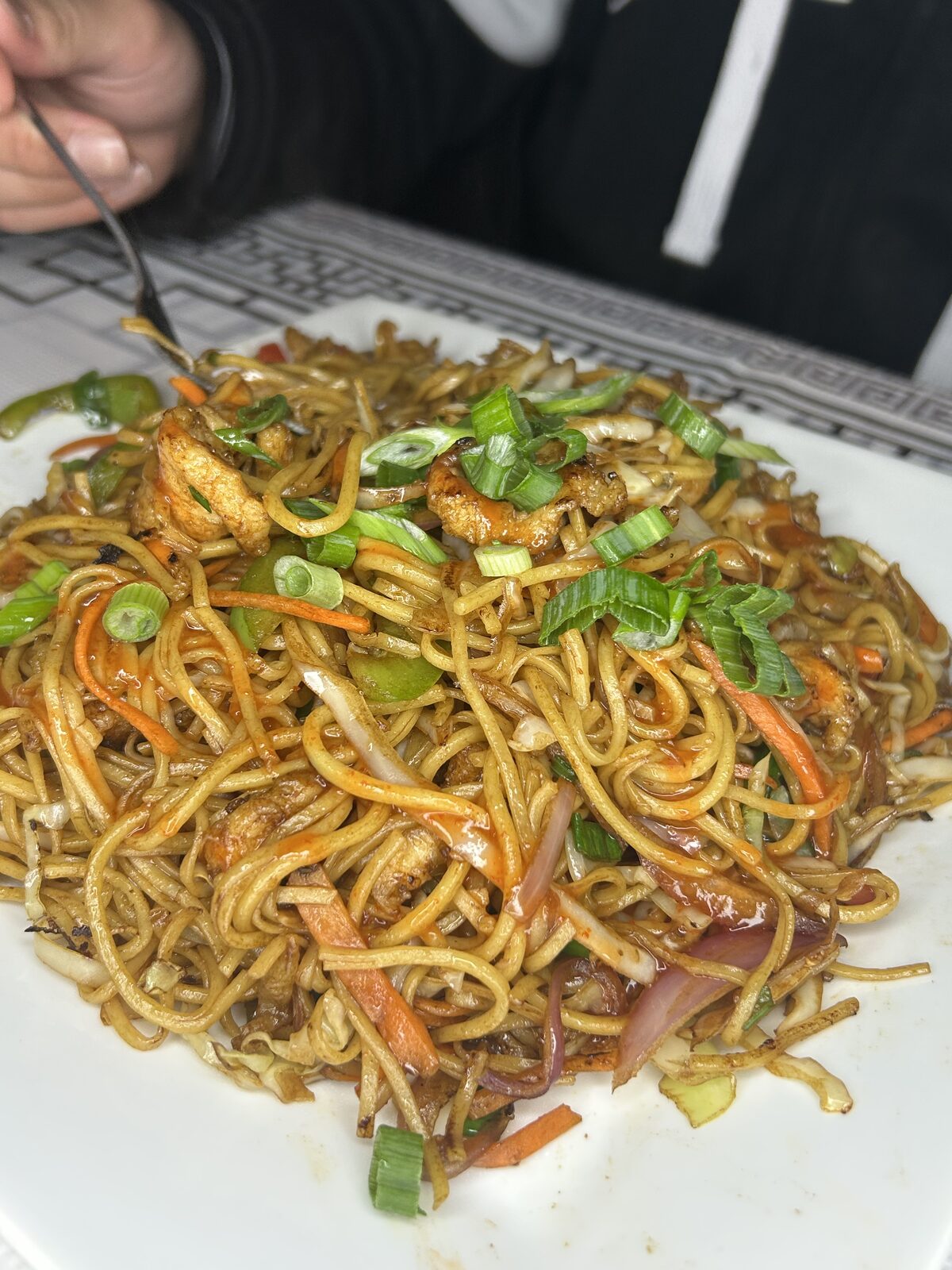 Indo-Chinese chicken hakka noodles with scallions and vegetables